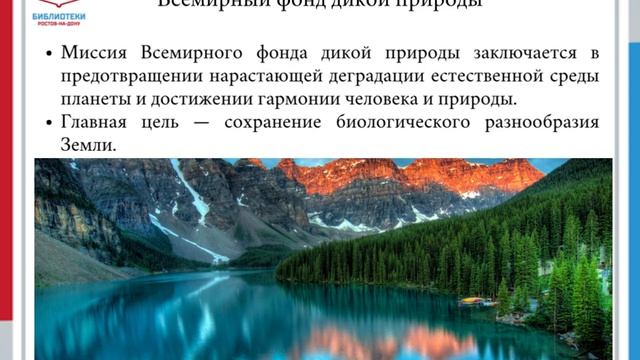 Информ экскурс День дикой природы смотреть онлайн