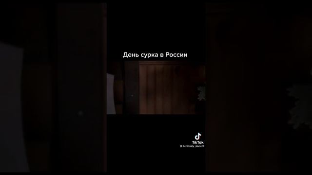 День сурка в России - Shorts смотреть онлайн