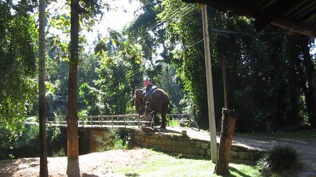 2013-11-SRI-LANKA - На слоне смотреть онлайн