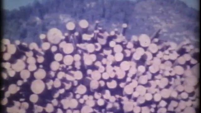 Всесоюзный киножурнал "Фитиль" № 164 1976 г смотреть онлайн