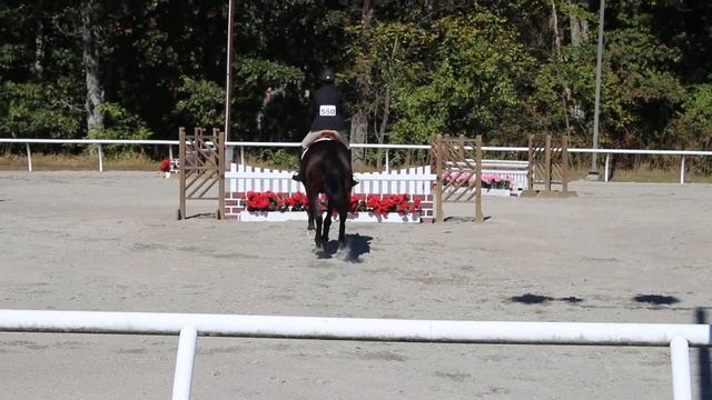 Raleigh in Equi-Trial Medal Class at Sweet Briar College on October 20, 2013 смотреть онлайн