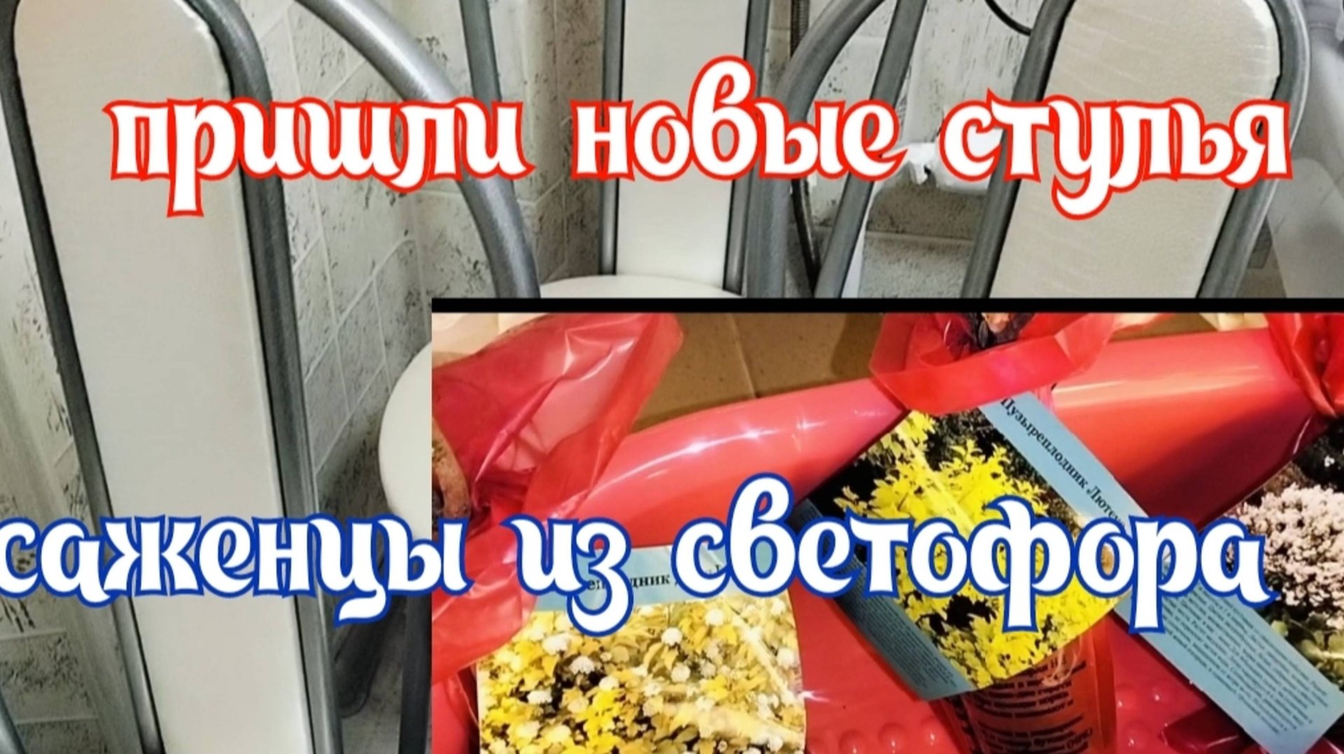 11.04.25. Утром деньги/вечером стулья/В Ейск за покупками/Саженцы из Светофора смотреть онлайн