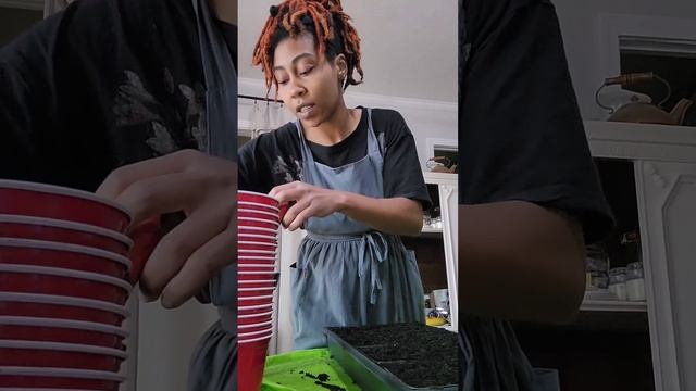 It's Corn! and potatoes смотреть онлайн