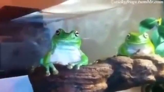 aB1bMo1 460sv1 смотреть онлайн