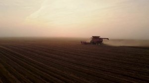 Футаж Комбайн в поле