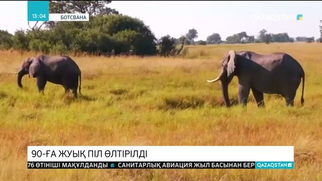 06.09.2018 - Ақпарат - 13:00 (Толық нұсқа) смотреть онлайн