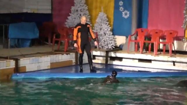 Li`Raw feat Dolphins смотреть онлайн