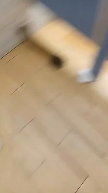 Pov: The toilet fails to flush junk 😂 смотреть онлайн