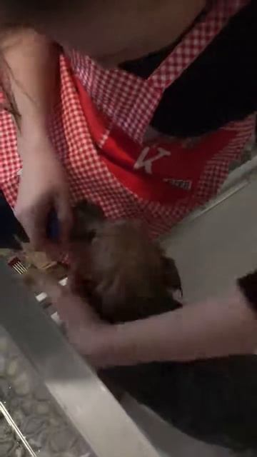 мастерская гигиена ! стрижка собаки! смотреть онлайн