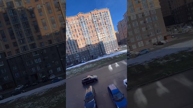 МарияПерсикова