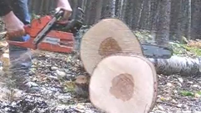 Ported 365 Special смотреть онлайн
