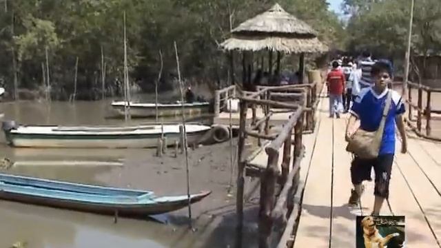 Monkey Meeting with Tourist 2017. Baby Monkey смотреть онлайн