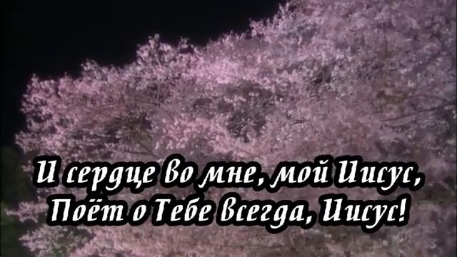 Ксения Лапицкая - За всё Тебя, Господь, я благодарю(-) смотреть онлайн