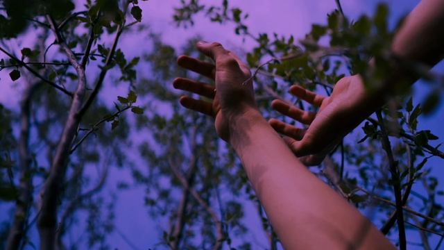 Domingo-susana cala (slow lyric video)-pynbha смотреть онлайн