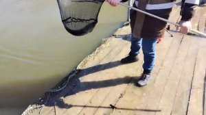 Белый маггот.Основной водоем
