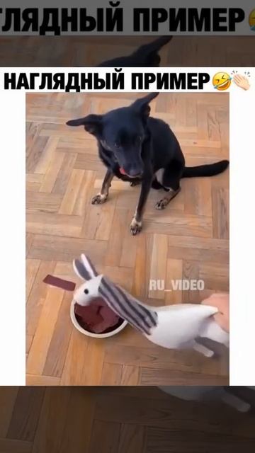 наглядный пример смотреть онлайн