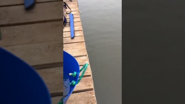 Субботний запуск форели в ВИП водоём - 250 кг !!! смотреть онлайн