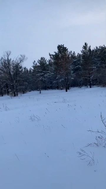 Январь 2023 года Шахтинск смотреть онлайн