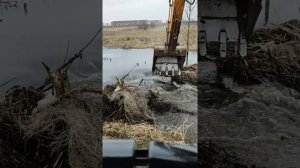 Разбираем бобровую плотину!!!