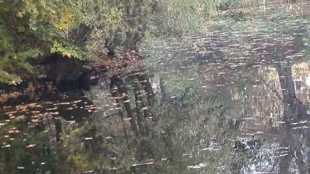 вот такая вот красивая осень смотреть онлайн