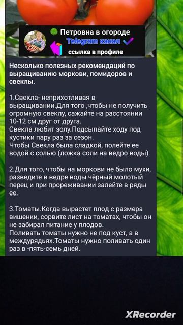 🔥Советы по выращивания культур смотреть онлайн