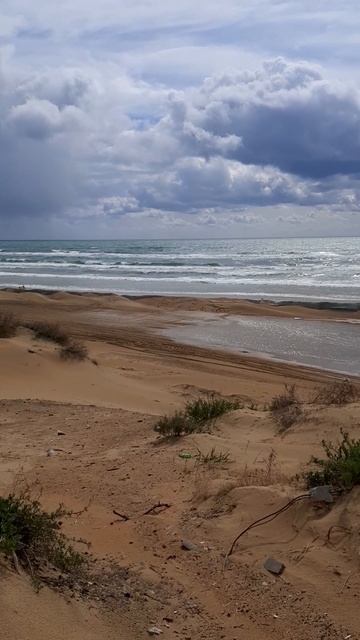 Анапа мазут 12 апреля 2025 смотреть онлайн