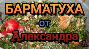 БАРМАТУХА от Александра ОТ и ДО. 2025