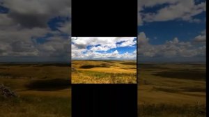 Я сегодня до зари встану - Муслим Магомаев