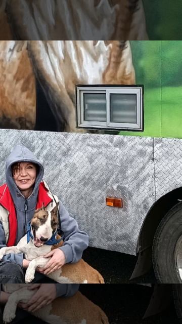 Роспись автобуса для лошадей