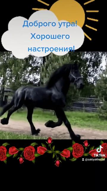 Доброго утра! Хорошего настроения! смотреть онлайн