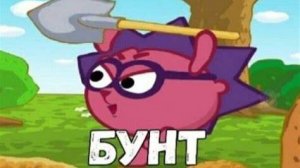 Нарезка "Capybara" №1