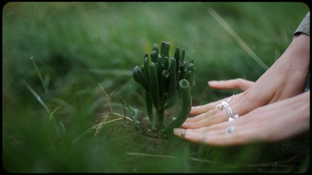 Видео протрет Sony FX3 + Biotar 58mm f1.5 смотреть онлайн