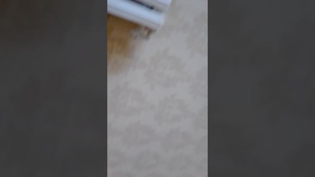 Хотела подписчикам показать моего друга на канале но у меня затупил телевизор смотреть онлайн