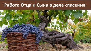 Работа Отца и Сына в деле спасения (СЛУЖЕНИЕ)