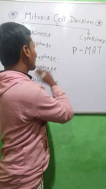 Mitosis Cell Division #mitosis #celldivision @agrinak6451 #gentics смотреть онлайн