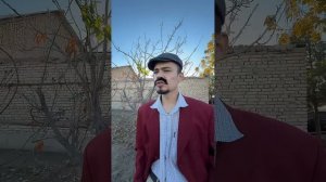 MURAD BUXARSKIY OTAM ONA TARBIYASI 🤣