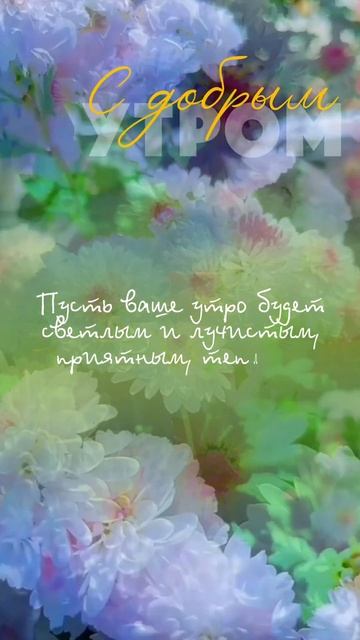 Пусть ваше утро будет светлым и лучистым смотреть онлайн