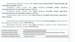 19 Объёмы лёгких