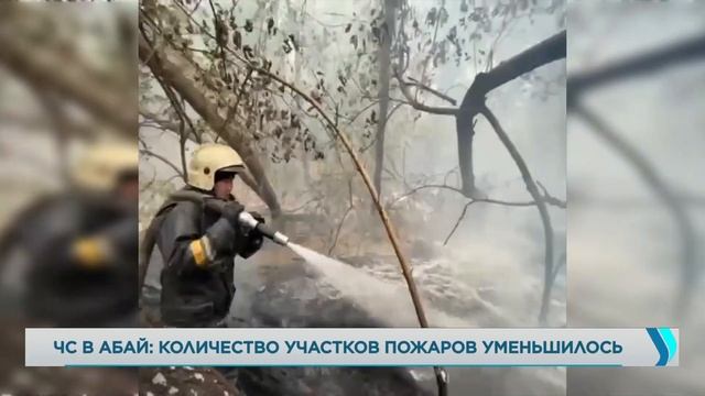 ЧС В АБАЙ: количество участков пожаров уменьшилось. «Новости» | Jibek Joly TV смотреть онлайн