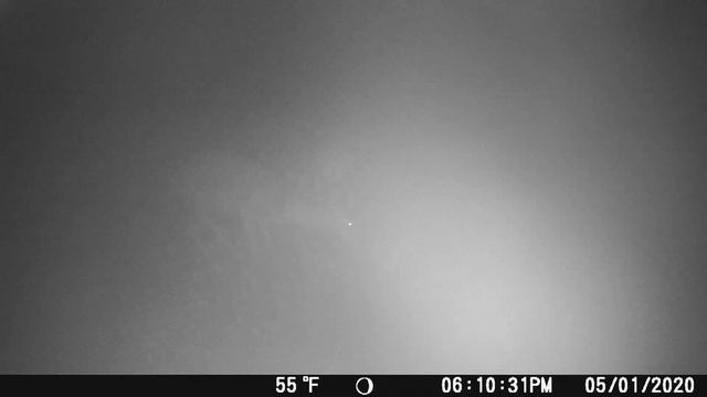 Trail Camera Untouched for 10 Months!! What did it Capture?? смотреть онлайн