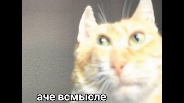 Мемные картинки 2 смотреть онлайн