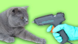 ЛАЙФХАКИ С КЛЕЕВЫМ ПИСТОЛЕТОМ. ТЕРМОКЛЕЕМ