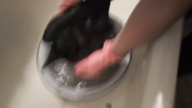 Гоша - ворон, мой брат его нашёл у него болит лапка, и было сломоно крыло, но мы надеемся на лучшее смотреть онлайн