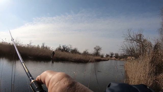 Как наловить много рыбы на поплапопер. Судак и окунь молчат. #поплапопер смотреть онлайн
