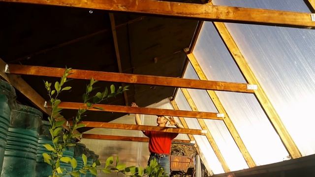 Farm Tour Series: The Walipini; Use, Design, And Construction