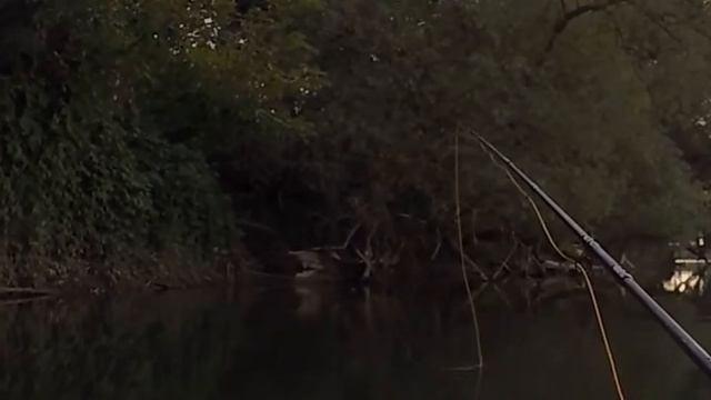 fly fishing.pescuit la musca смотреть онлайн