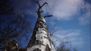 Aurosonic feat. Kate Louise Smith - Open Your Eyes (Aurosonic Progressive Mix) (Set Rip)