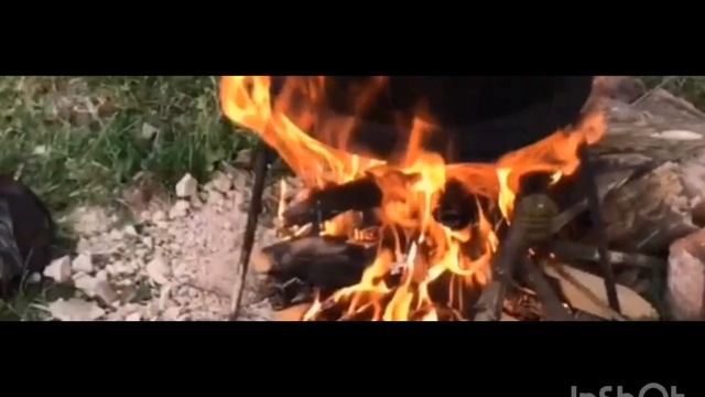 Новая Чеченская песня ❤️2023год ас шушиниц к1ура а бо😂😂😻 смотреть онлайн