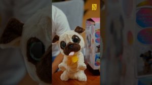 Интерактивная собачка Горошек