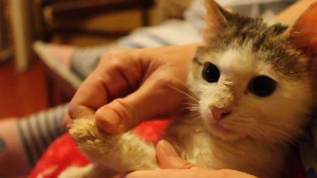 02 136 Уткин лечится смотреть онлайн